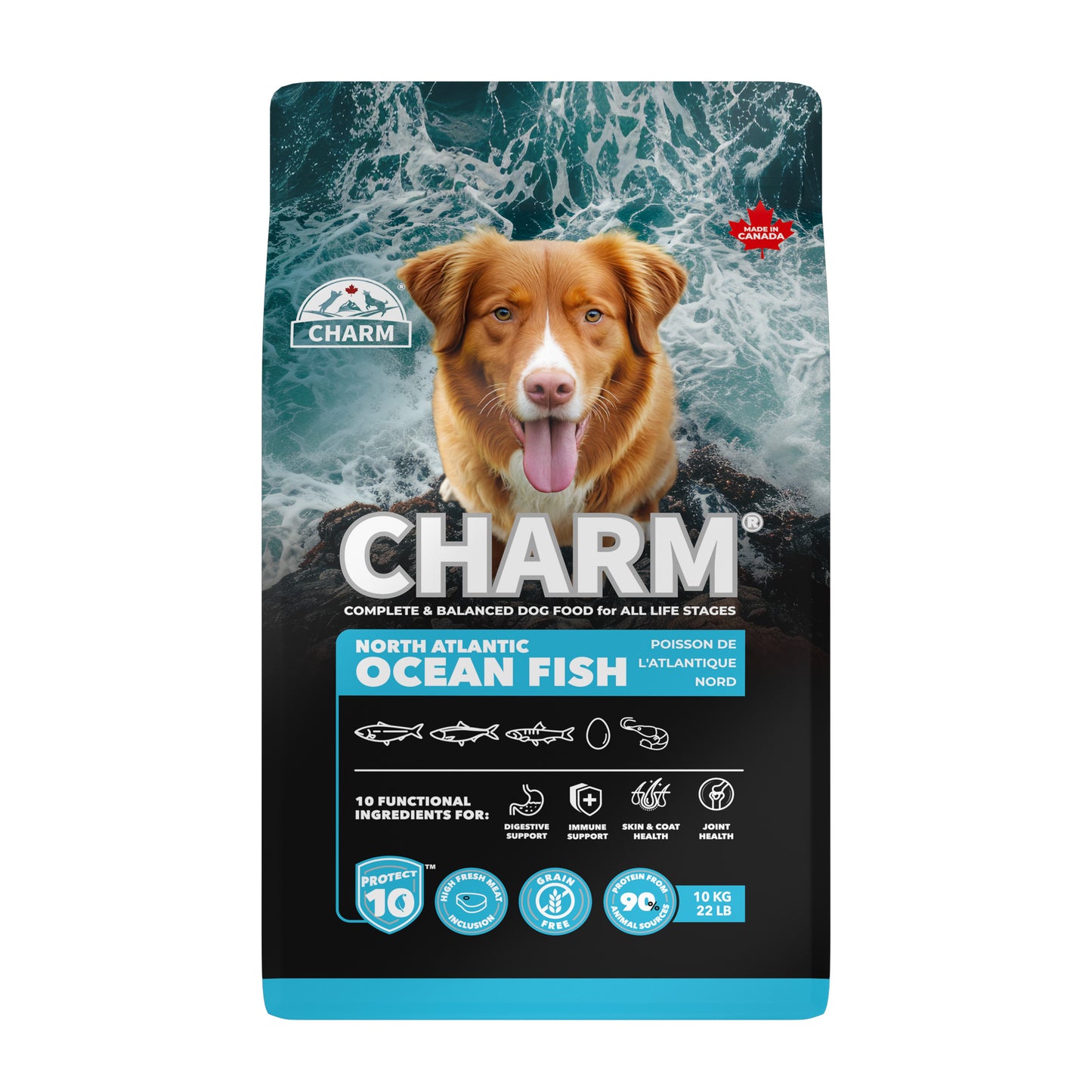 Charm – Recette de poisson de L'Atlantique Nord sans grains - Chien