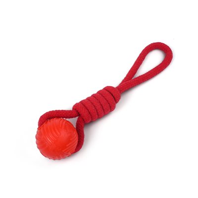 Spike! – Corde en boucle avec balle