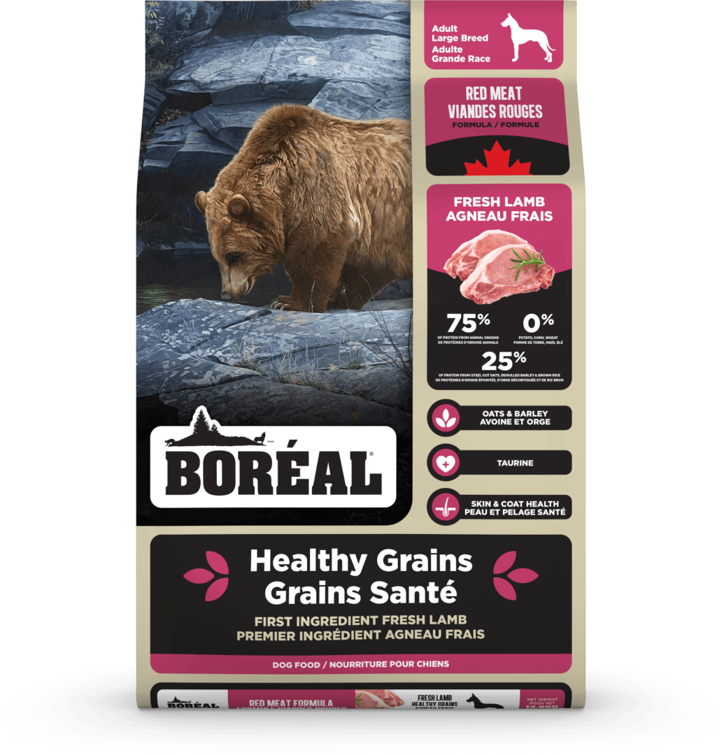 Boréal – Grains santé - Viande rouge - Grande race