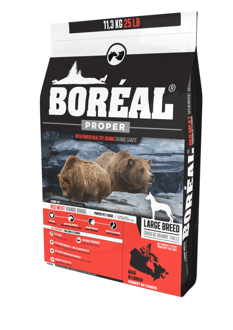 Boréal