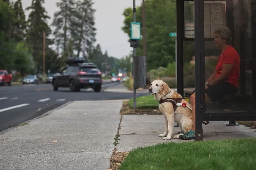 Ruffwear