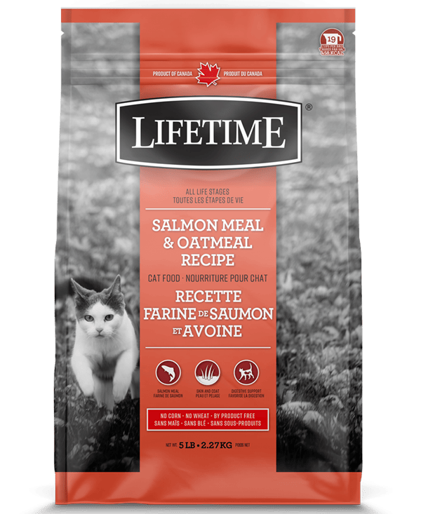 Lifetime