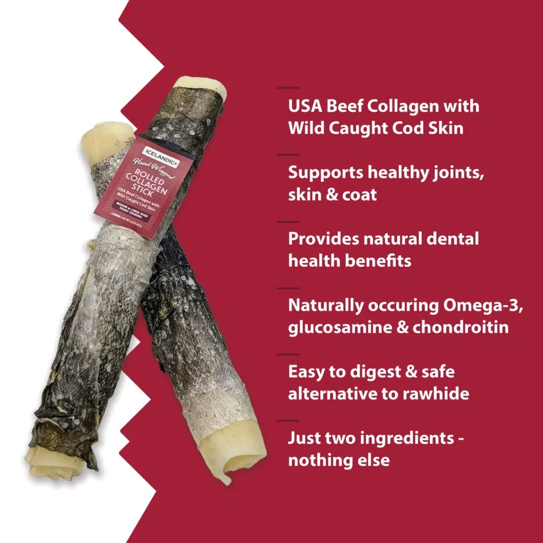 Icelandic + – Bâtonnet de collagène de bœuf enveloppé de peau de morue