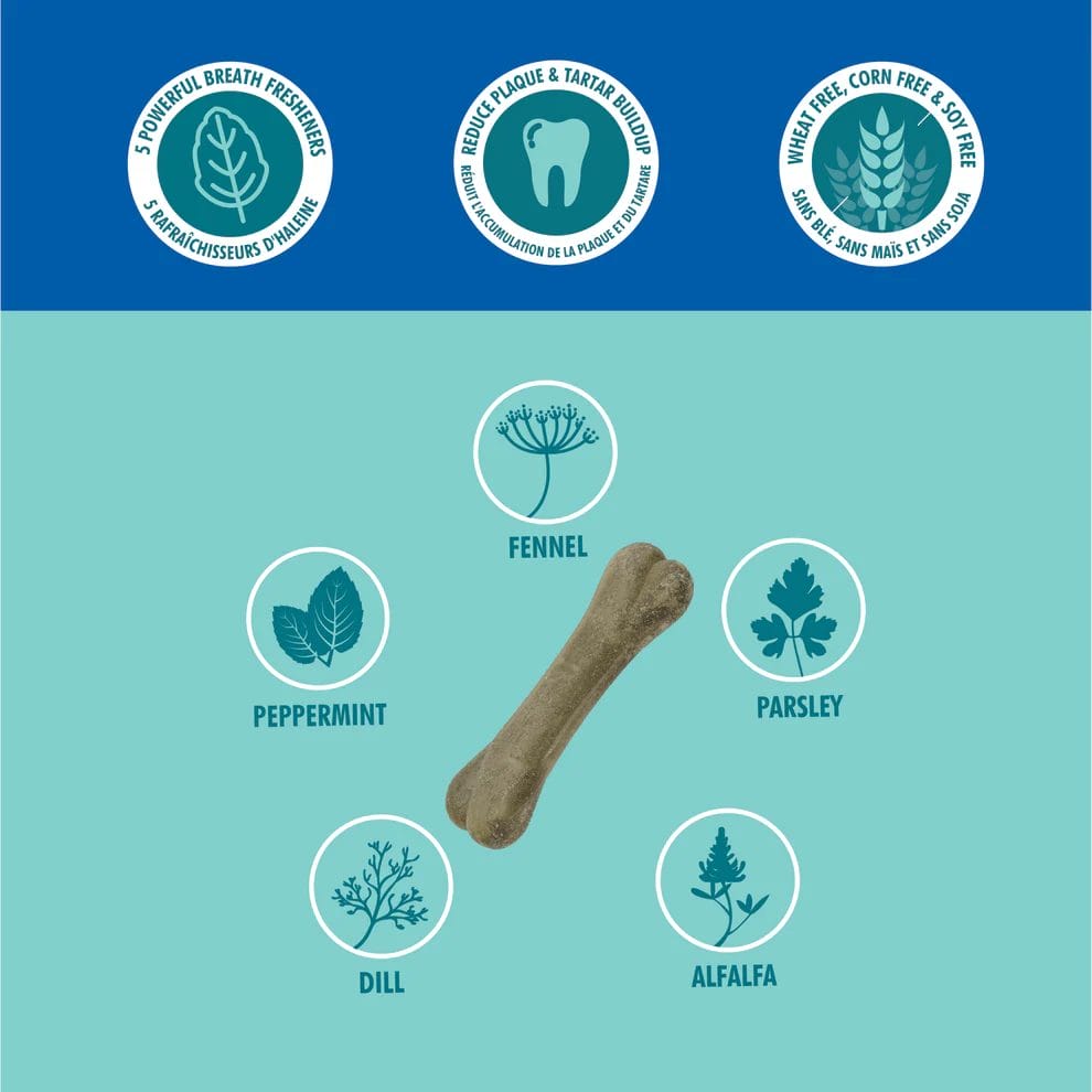 N-Bone – Bone-A-Mints