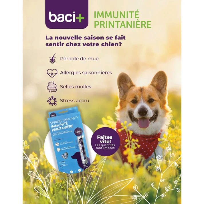 Baci + – Trousse immunité printanière