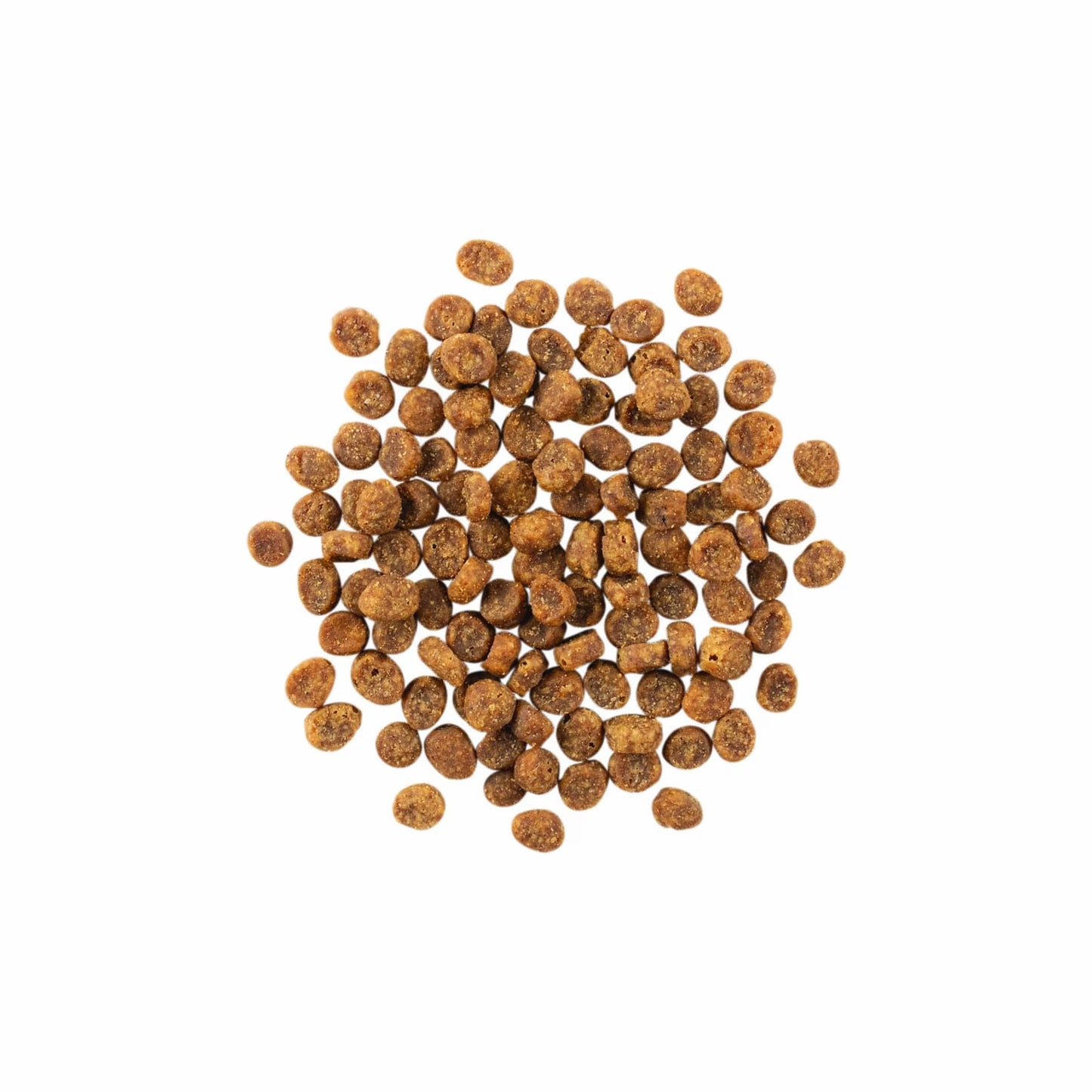 Petcurean – Go! Solutions - Ingrédients Limités – Sans Grains - Saumon