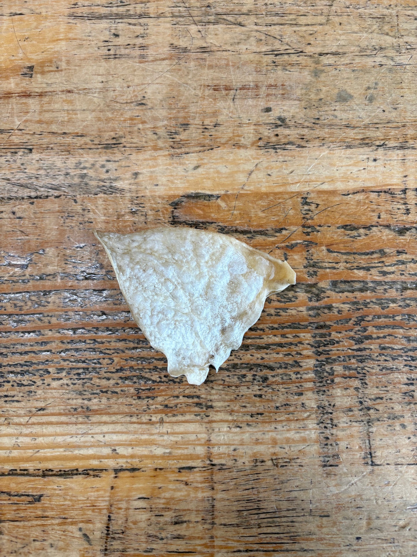 Nature's Own Dog Chew – Oreille d'agneau