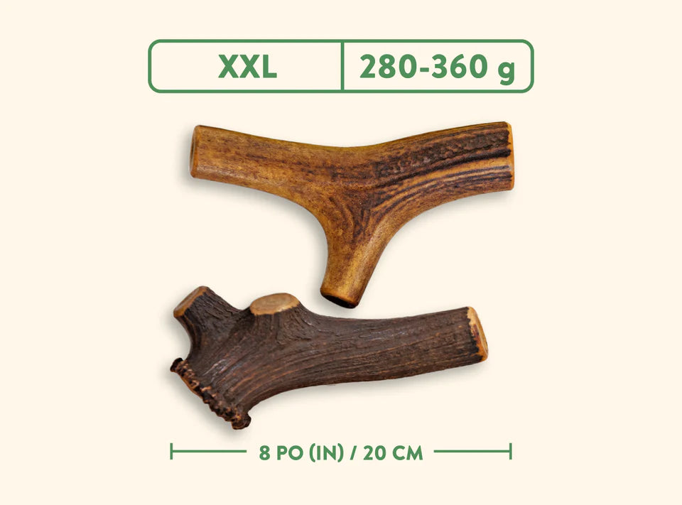 Jawgler – Bois de cervidés entier – Jambon fumé à l'érable