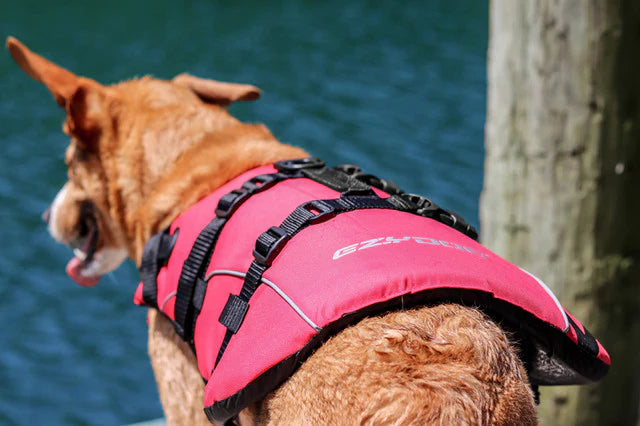 Ezydog– Veste de flottaison