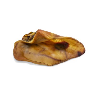 Bulk-Dog – Oreille de truie