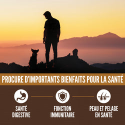 Orijen – Amazing Grains - Regional Red - Chien