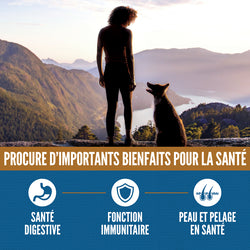 Orijen – Amazing Grains - Originale - Chien