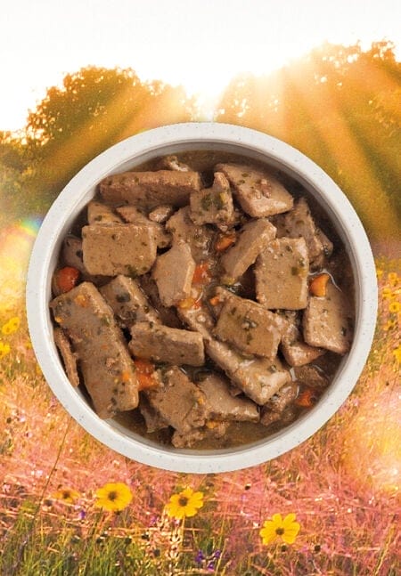 Acana – Morceaux de boeuf dans un bouillon d'os - 363g