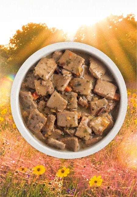 Acana – Morceaux de canard dans un bouillon d'os - 363g
