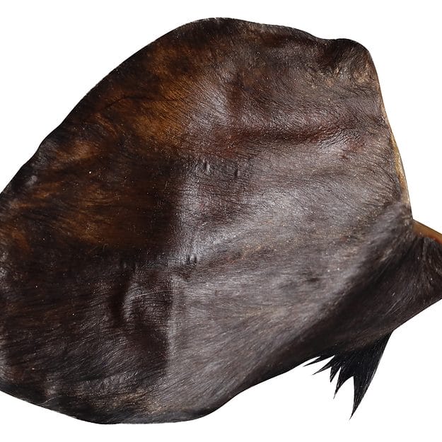 QT Dog – Oreille de buffle d'eau poilu