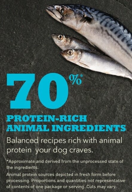 Acana – Regionals – Sans Grains - Pacifica - Chien