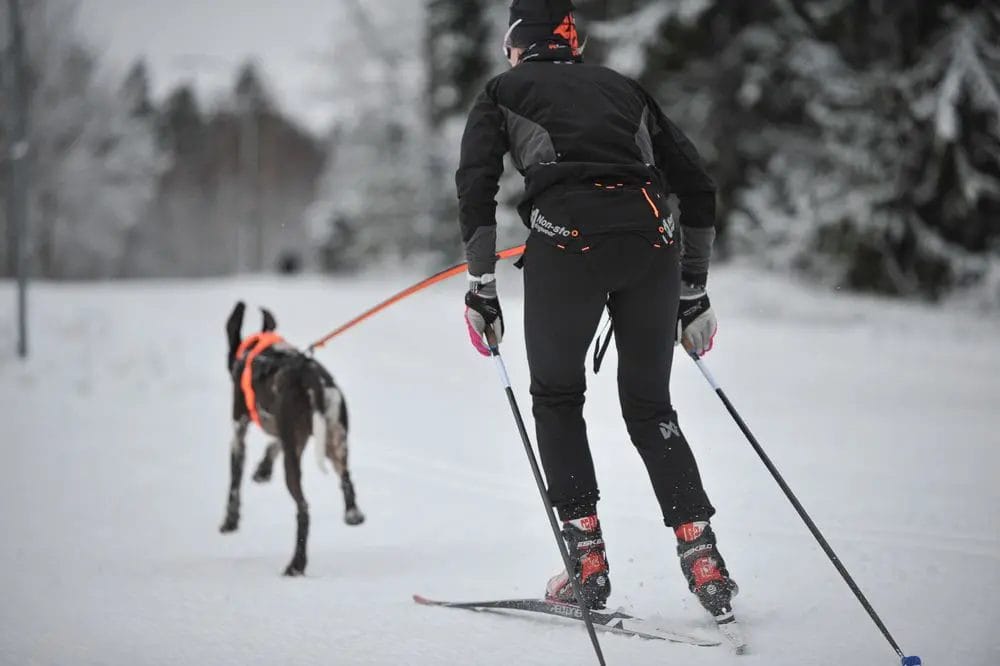 Non-Stop – Ceinture Løype Pro