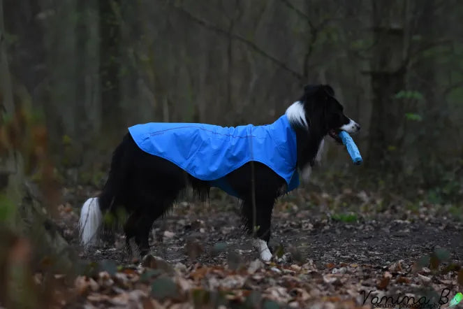Ruffwear – Imperméable Sun Shower (Ancien modèle)