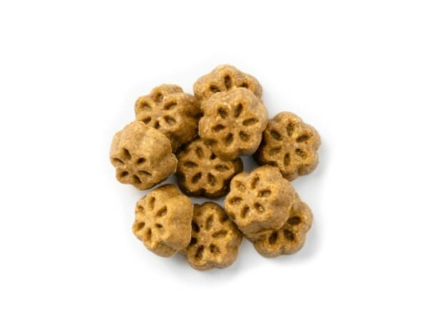 Fruitables – Gâteries ''Skinny Minis'' – Bison