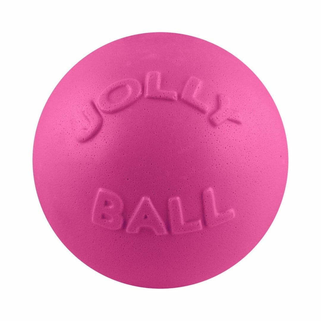 Jolly Pets – Ballon Bounce-n-Play