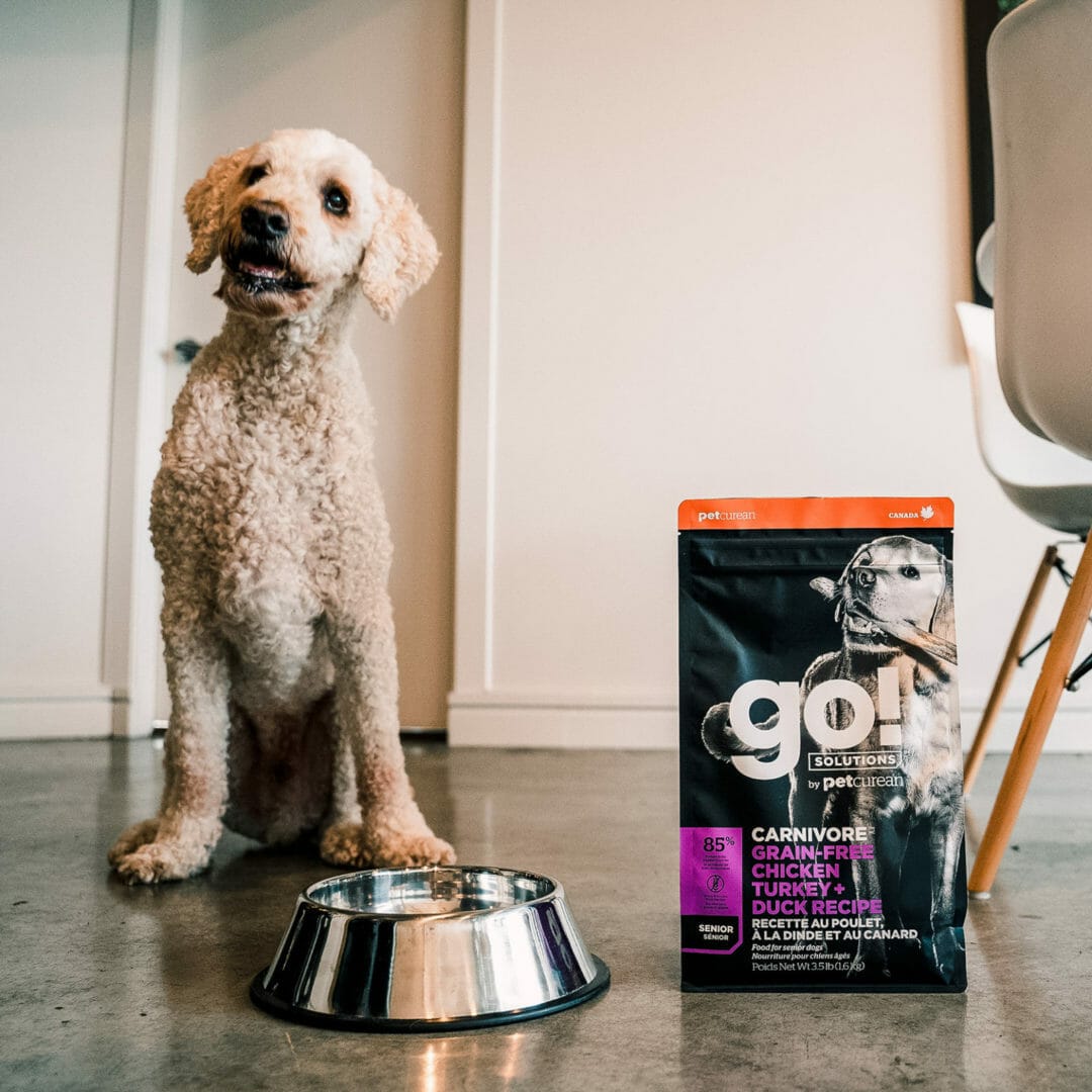 Petcurean – Go! Solutions - Carnivore – Sans Grains - Senior Poulet + Dinde + Canard