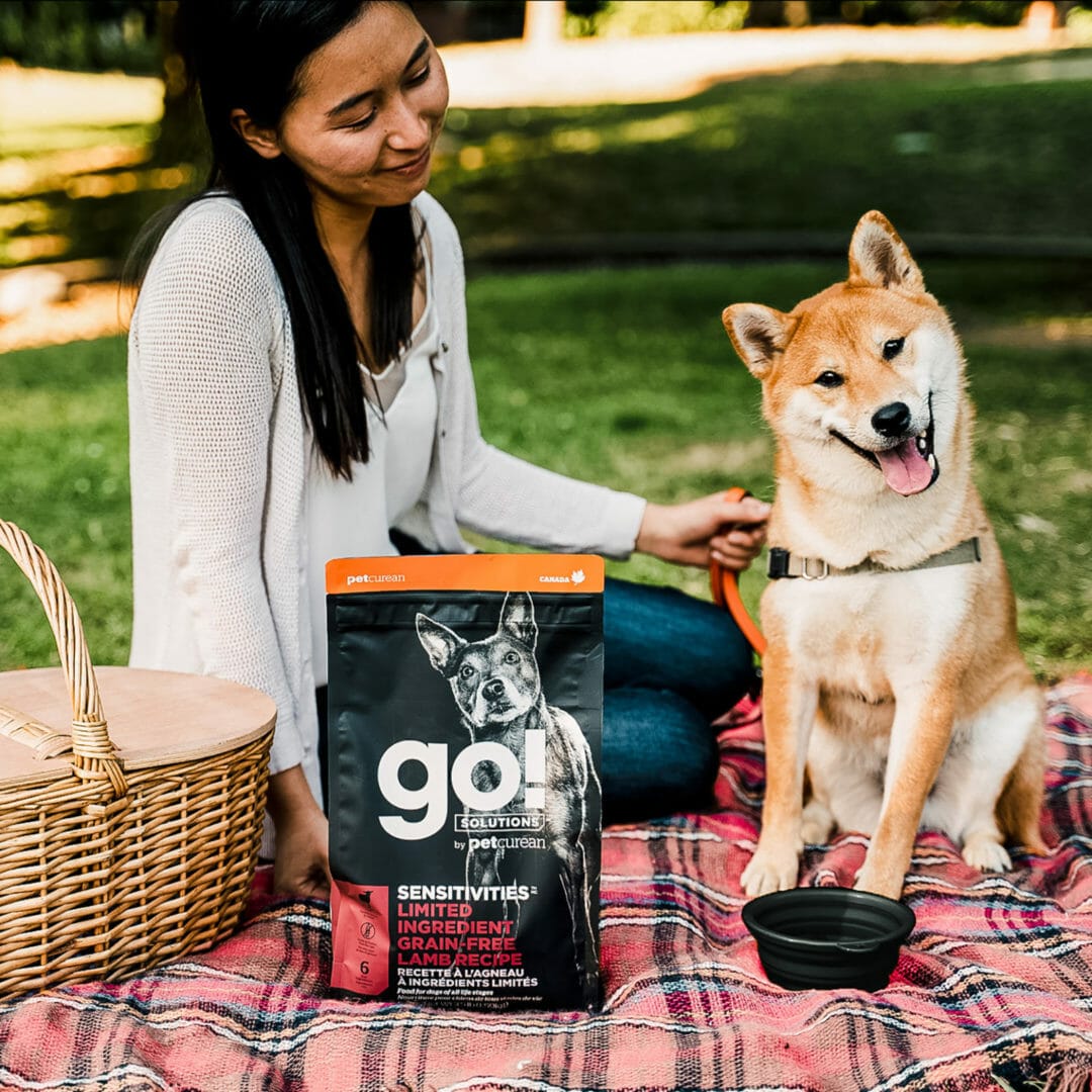 Petcurean – Go! Solutions - Ingrédients Limités – Sans Grains - Agneau