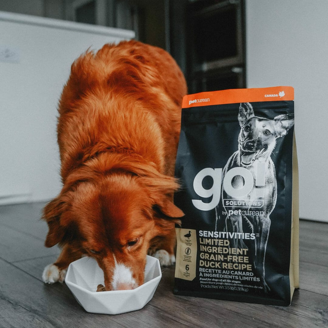 Petcurean – Go! Solutions - Ingrédients Limités – Sans Grains - Canard