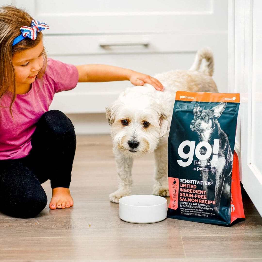 Petcurean – Go! Solutions - Ingrédients Limités – Sans Grains - Saumon