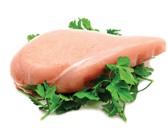 1st Choice – Senior - Moins actif – Poulet