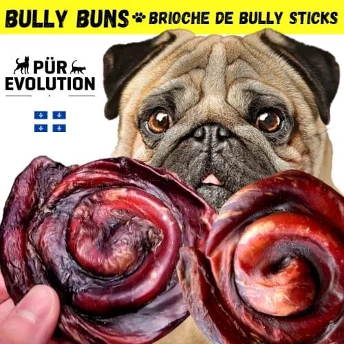 Pur Evolution – Bully Bun