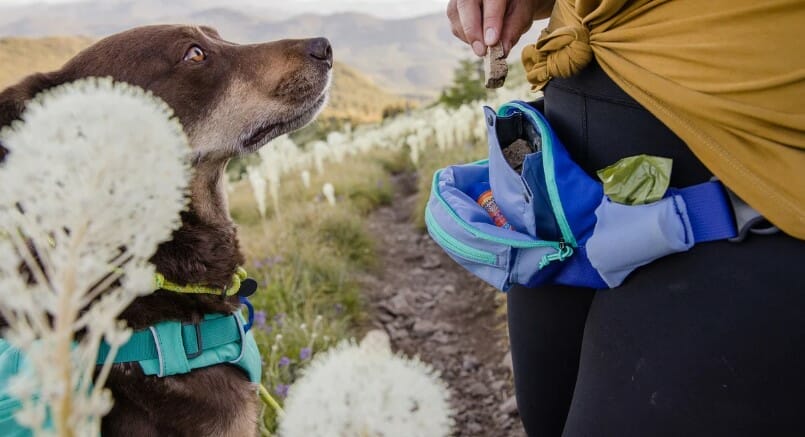 Ruffwear – Sac banane Home Trail