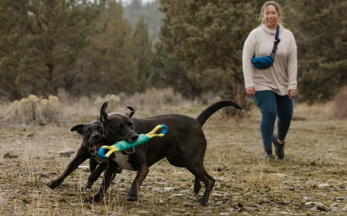 Ruffwear – Jouet à lancer/tirer – Pacific Loop