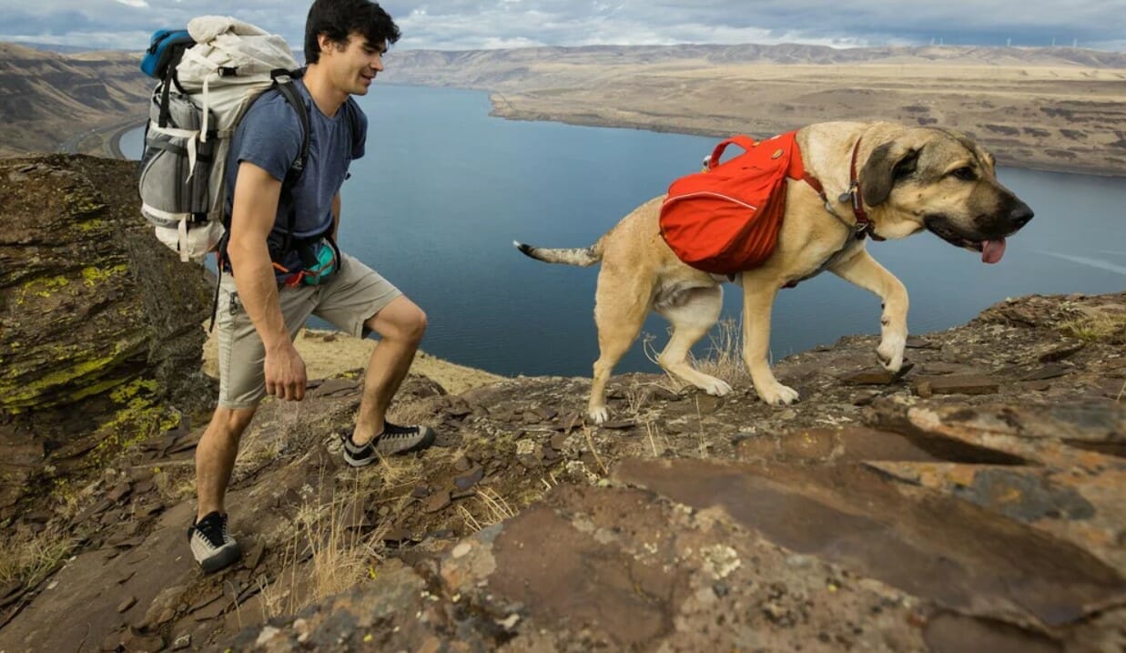 Ruffwear – Sac à Dos Palisades