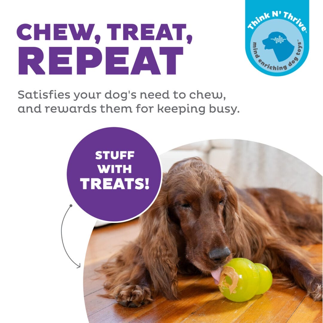 Outward Hound – Double-Tuff