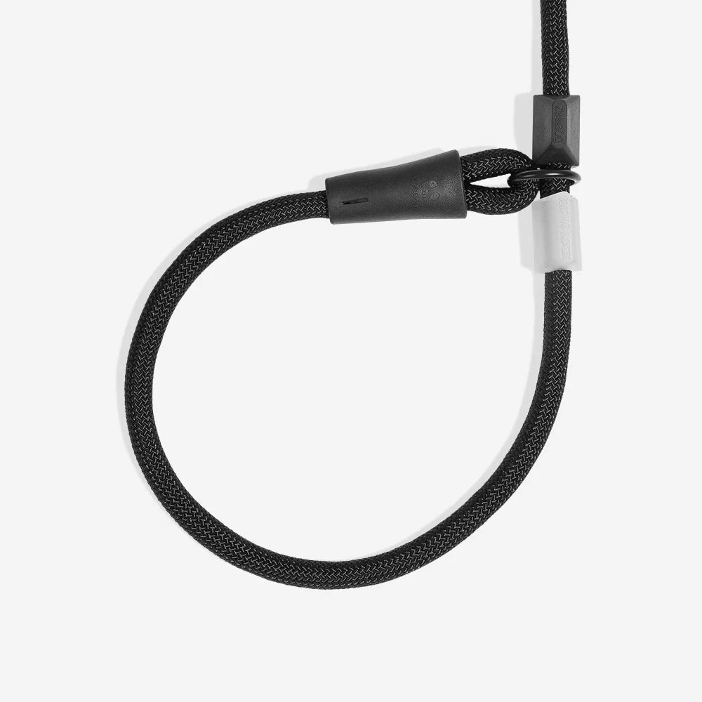 Zeedog – Laisse Slip-N-Lock