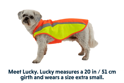 Ruffwear – Veste Lumenglow – Réfléchissante et haute visibilité