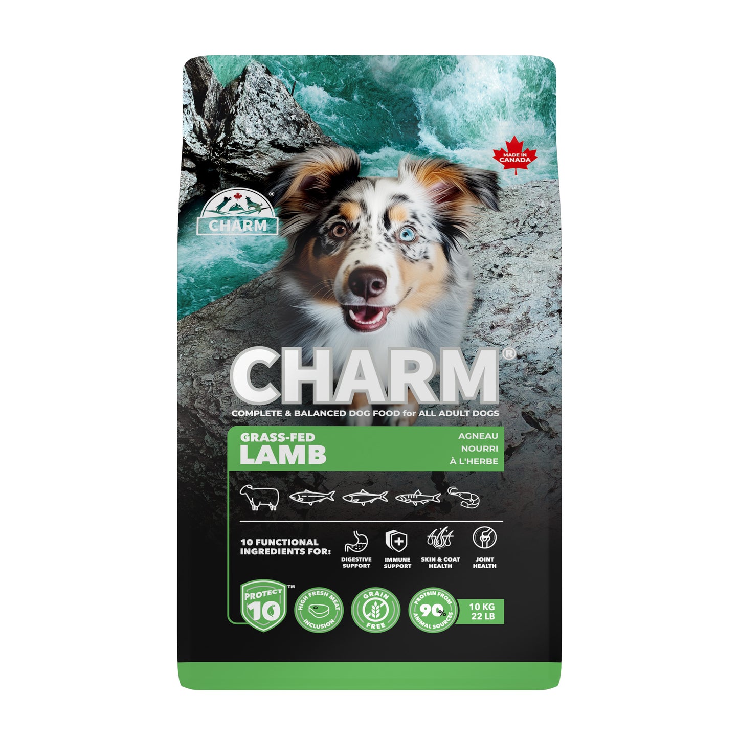 Charm – Recette d'agneau sans grains - Chien