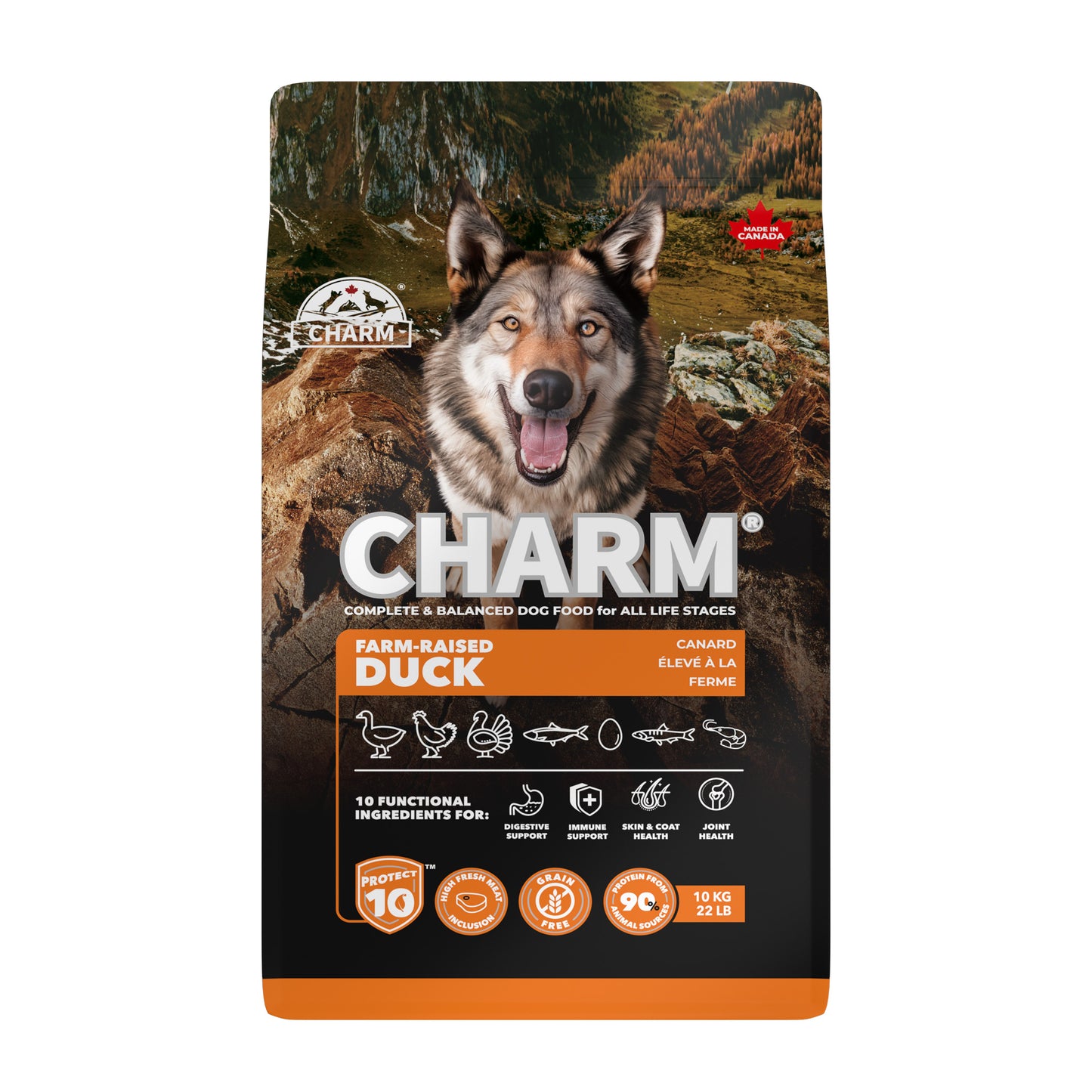 Charm – Recette de canard sans grains - Chien