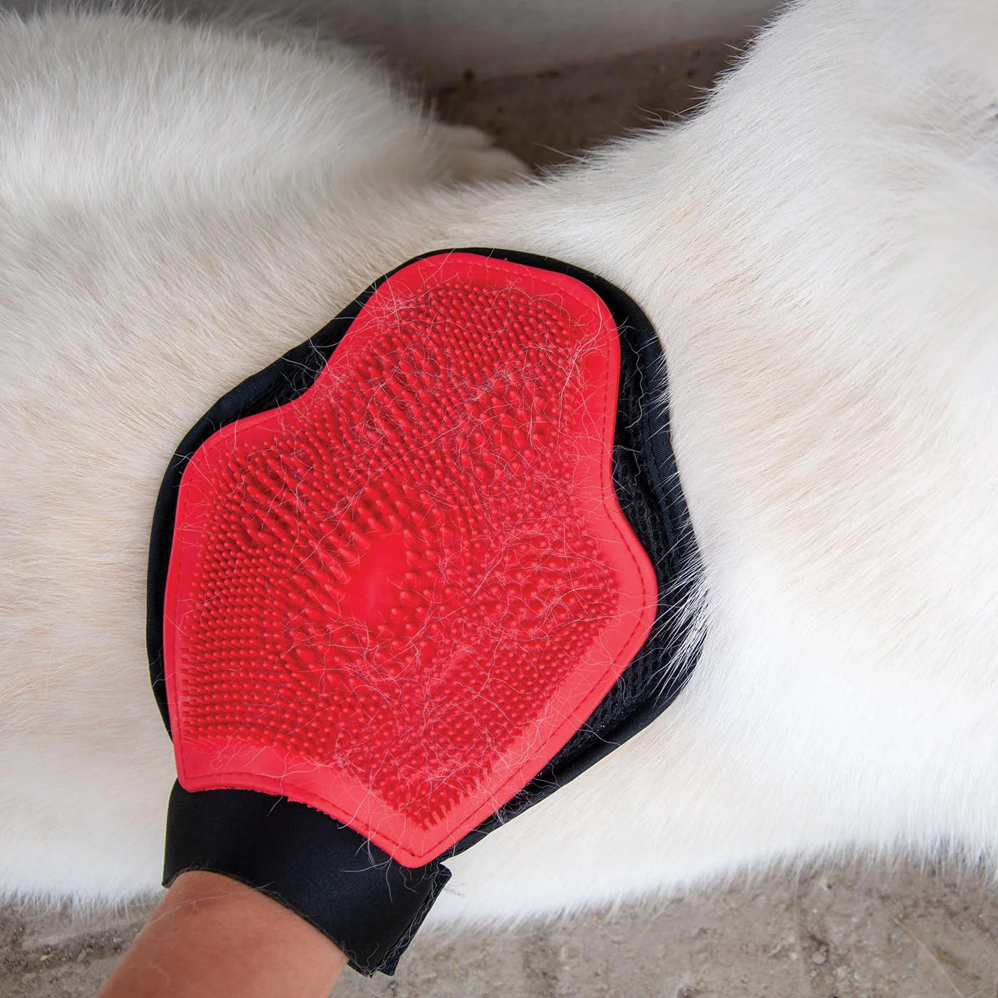 Shedrow K9 – Gant de toilettage
