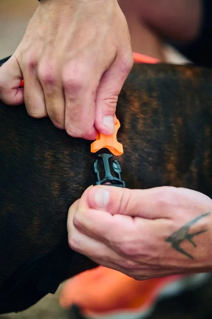 Non-Stop – Harnais Rush