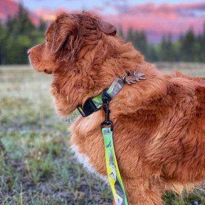 Rocky Mountain Dog – Collier
