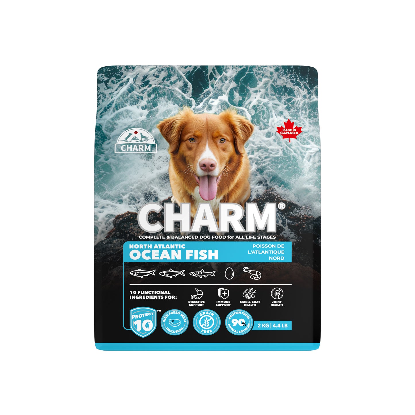 Charm – Recette de poisson de L'Atlantique Nord sans grains - Chien