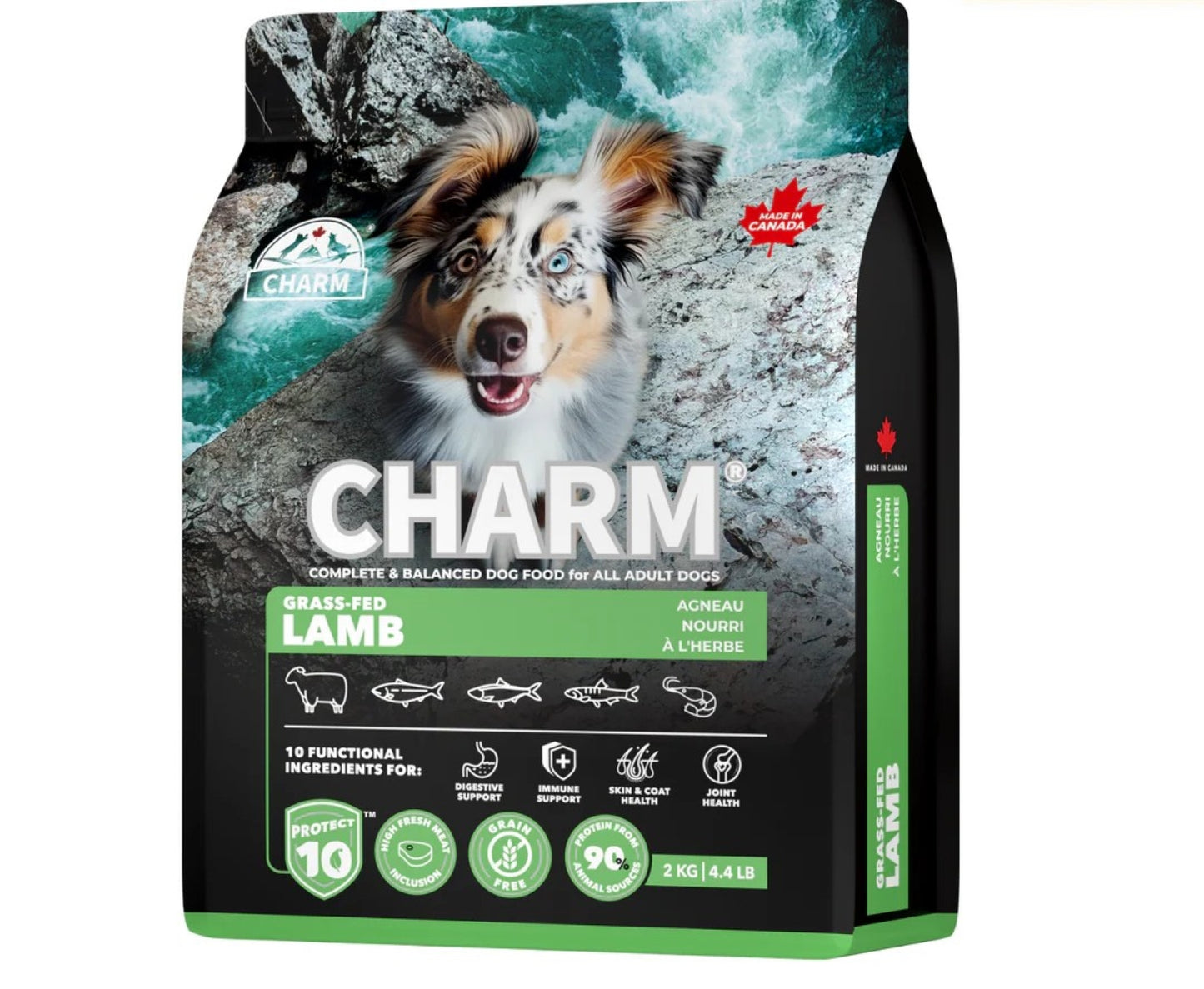 Charm – Recette d'agneau sans grains - Chien