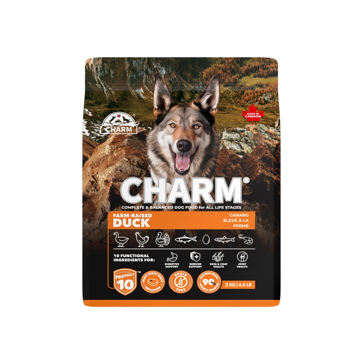 Charm – Recette de canard sans grains - Chien