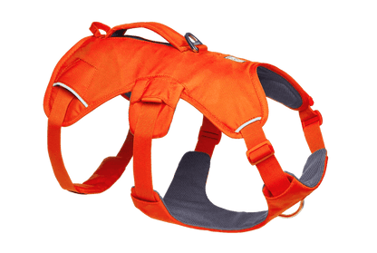 Ruffwear – Harnais Web Master