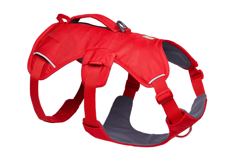 Ruffwear – Harnais Web Master