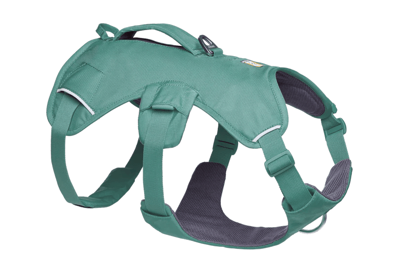 Ruffwear – Harnais Web Master