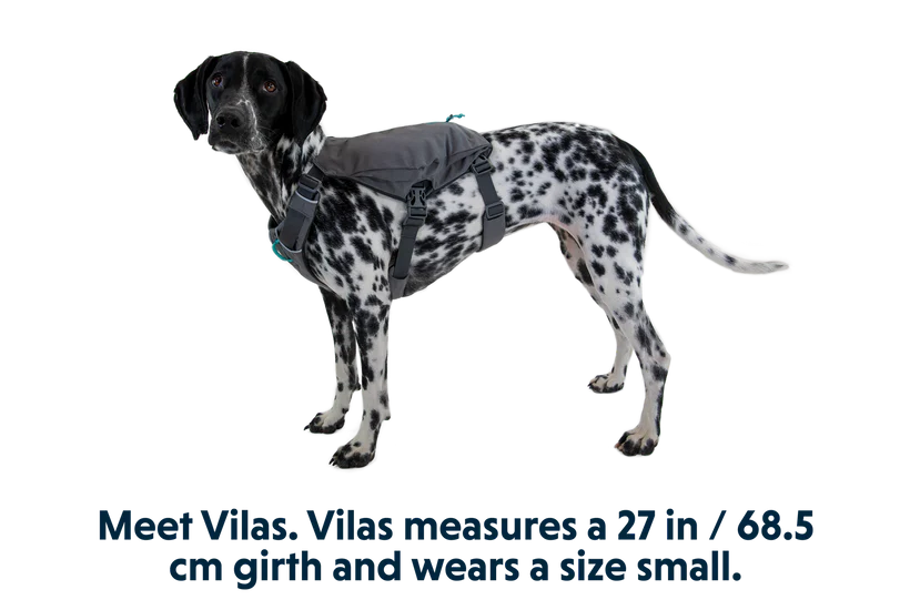 Ruffwear – Sac à Dos Switchbak