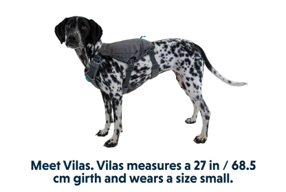 Ruffwear – Sac à Dos Switchbak