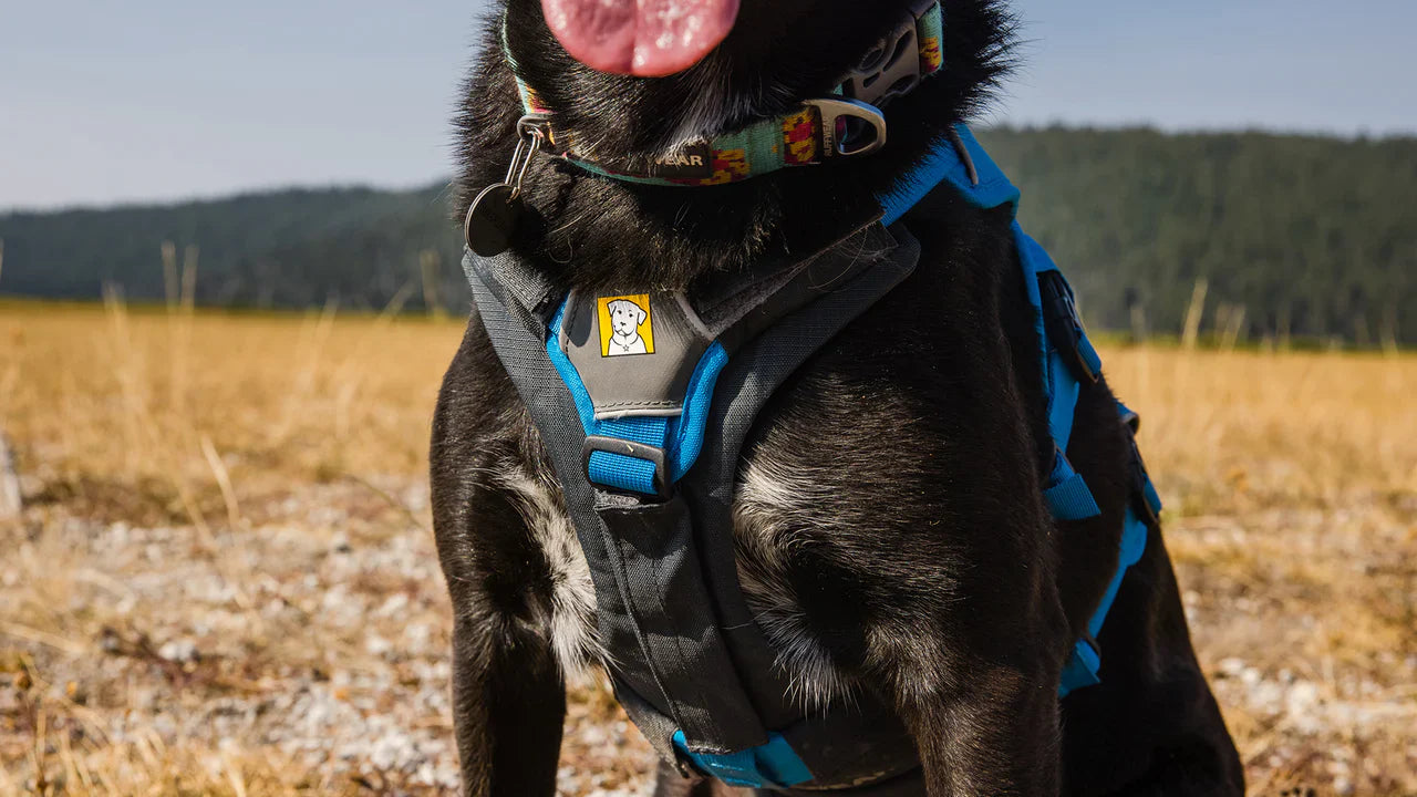 Ruffwear – Brush Guard